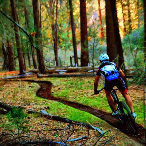 Orange Mud, LLC Hydration Black Gear Quiver, fits normal size and plus size phones, plus nutrition.