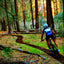 Orange Mud, LLC Hydration Black Gear Quiver, fits normal size and plus size phones, plus nutrition.